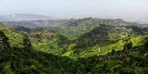 Jamaica